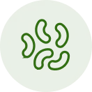 Listeria Monocytogenes